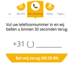 Pyber CRM - call to action chat widget 003